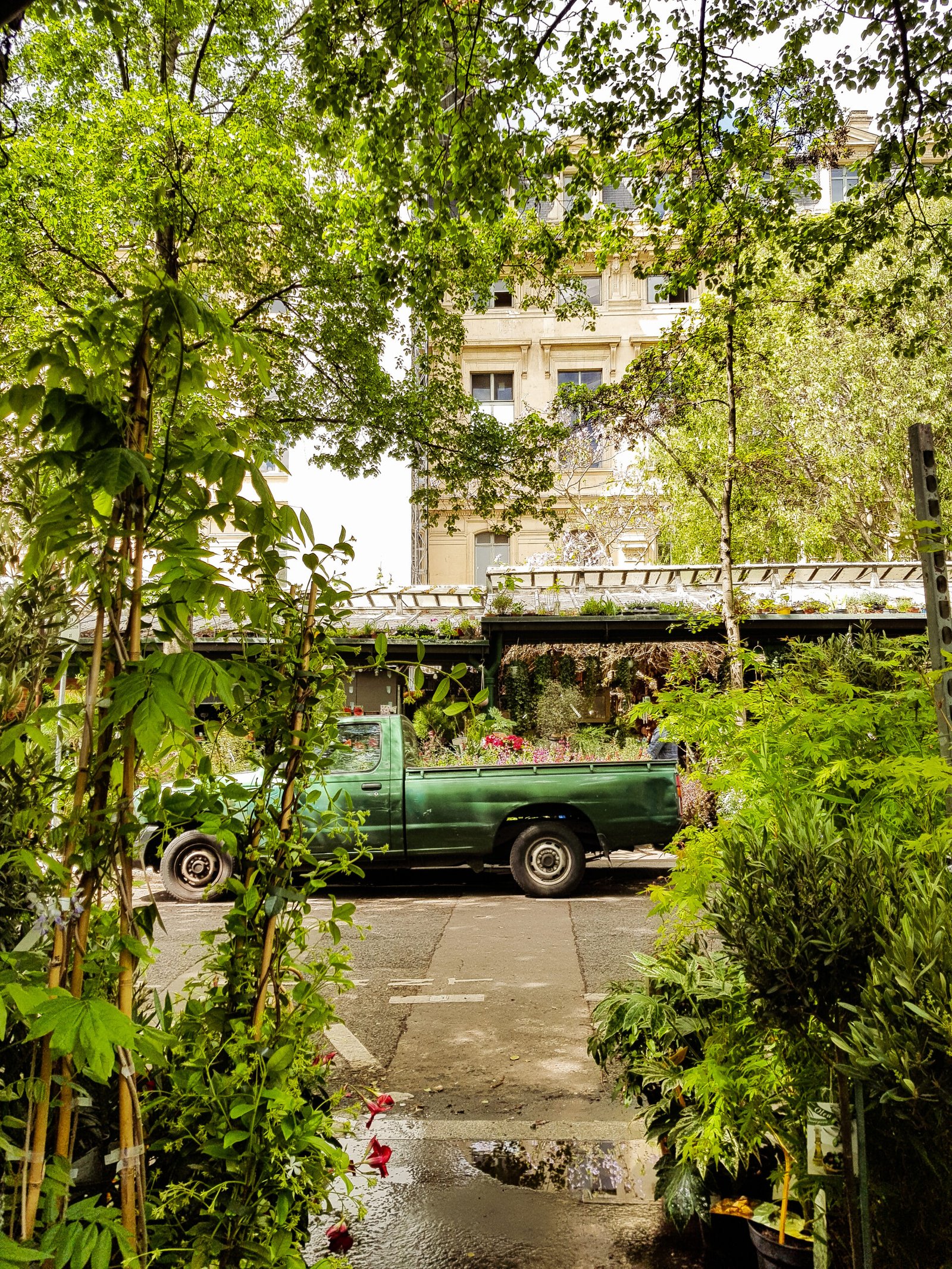 Marché aux Fleurs à Paris - Imagen 4