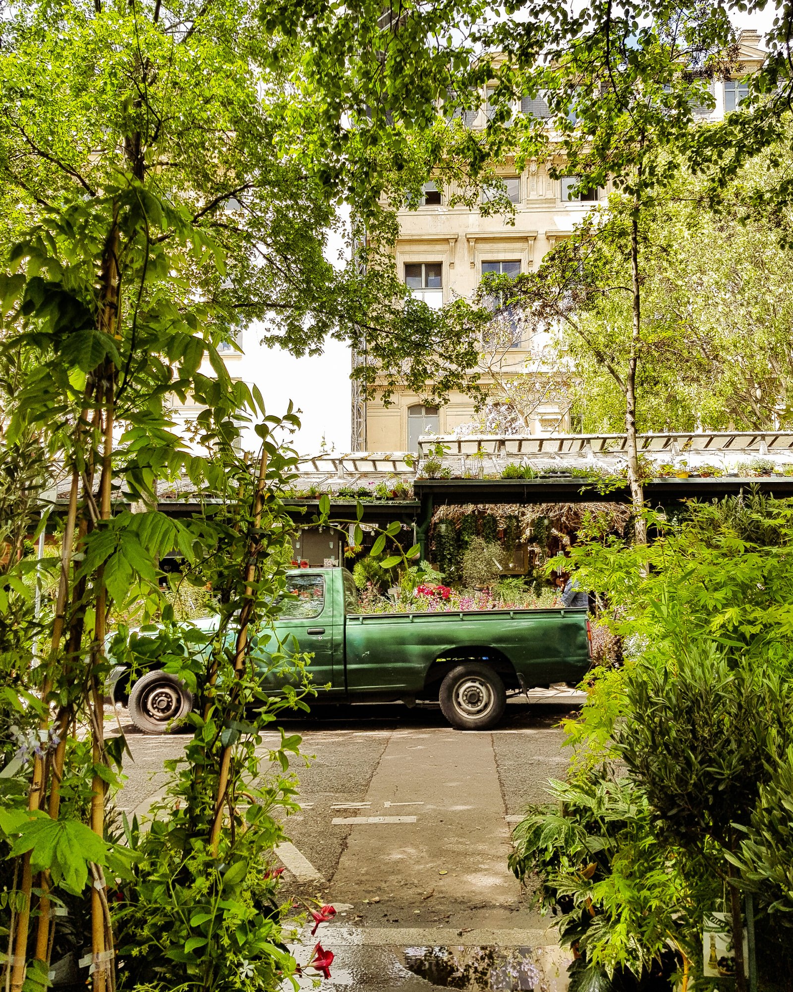 Marché aux Fleurs à Paris - Imagen 2
